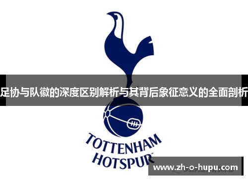 足协与队徽的深度区别解析与其背后象征意义的全面剖析